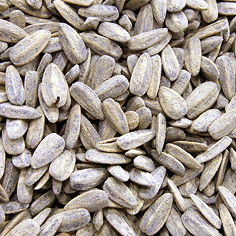 Pipa De Girasol C/Sal Xanos 12x150grs