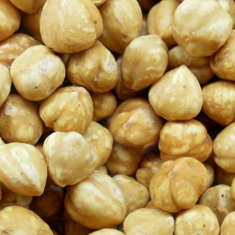 [70100] Avellana Cordobesa 1k Sto Reino