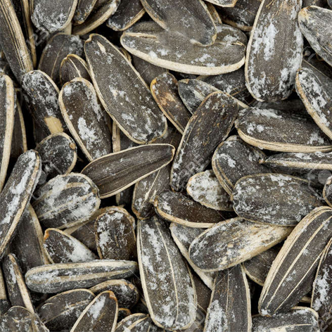 [8420052001961] Pipas Tostadas Sal Camba